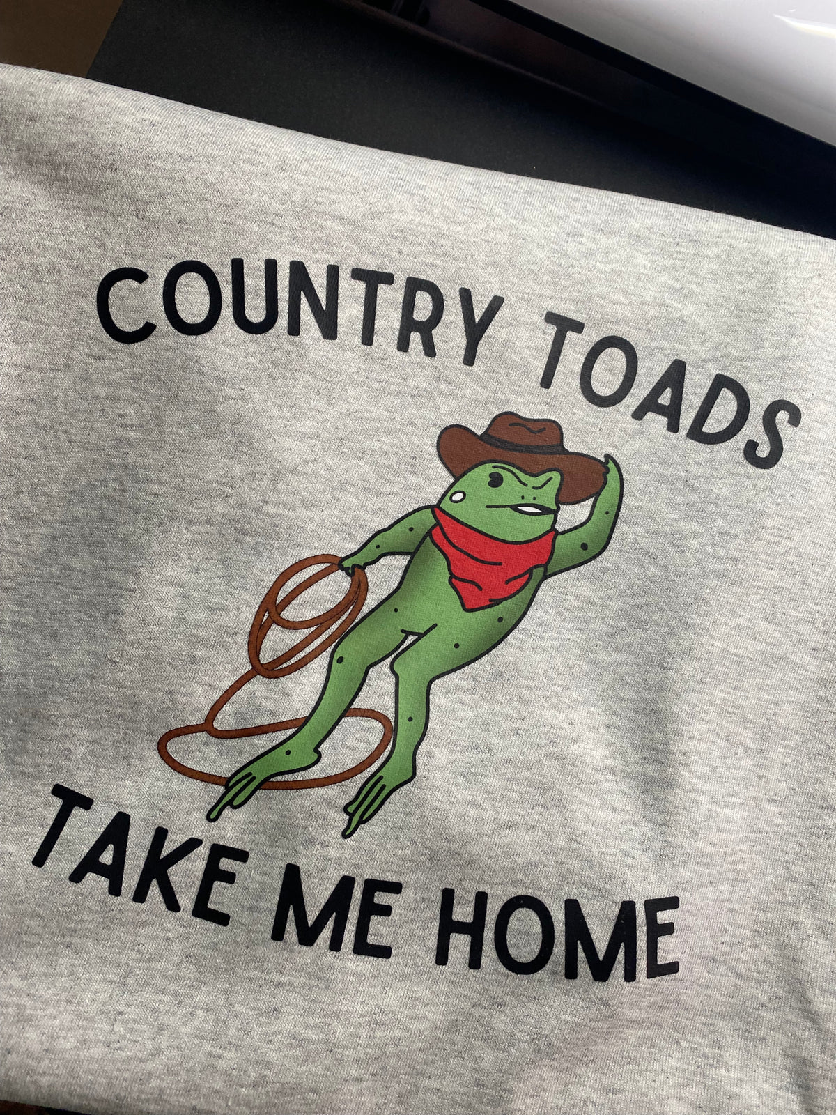 Country Toads Take Me Home Tee - Ash Grey