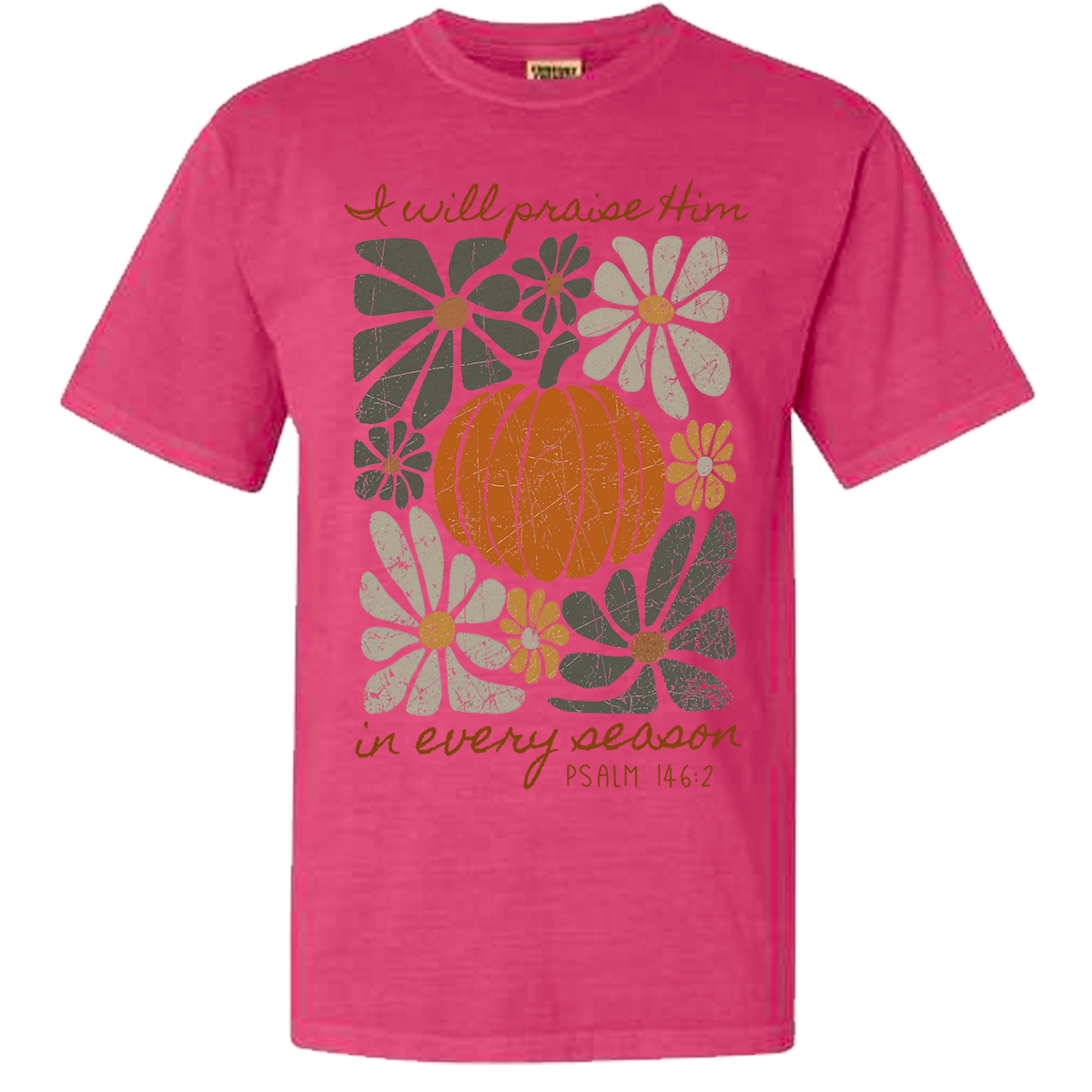 Praise Him Comfort Color Tee