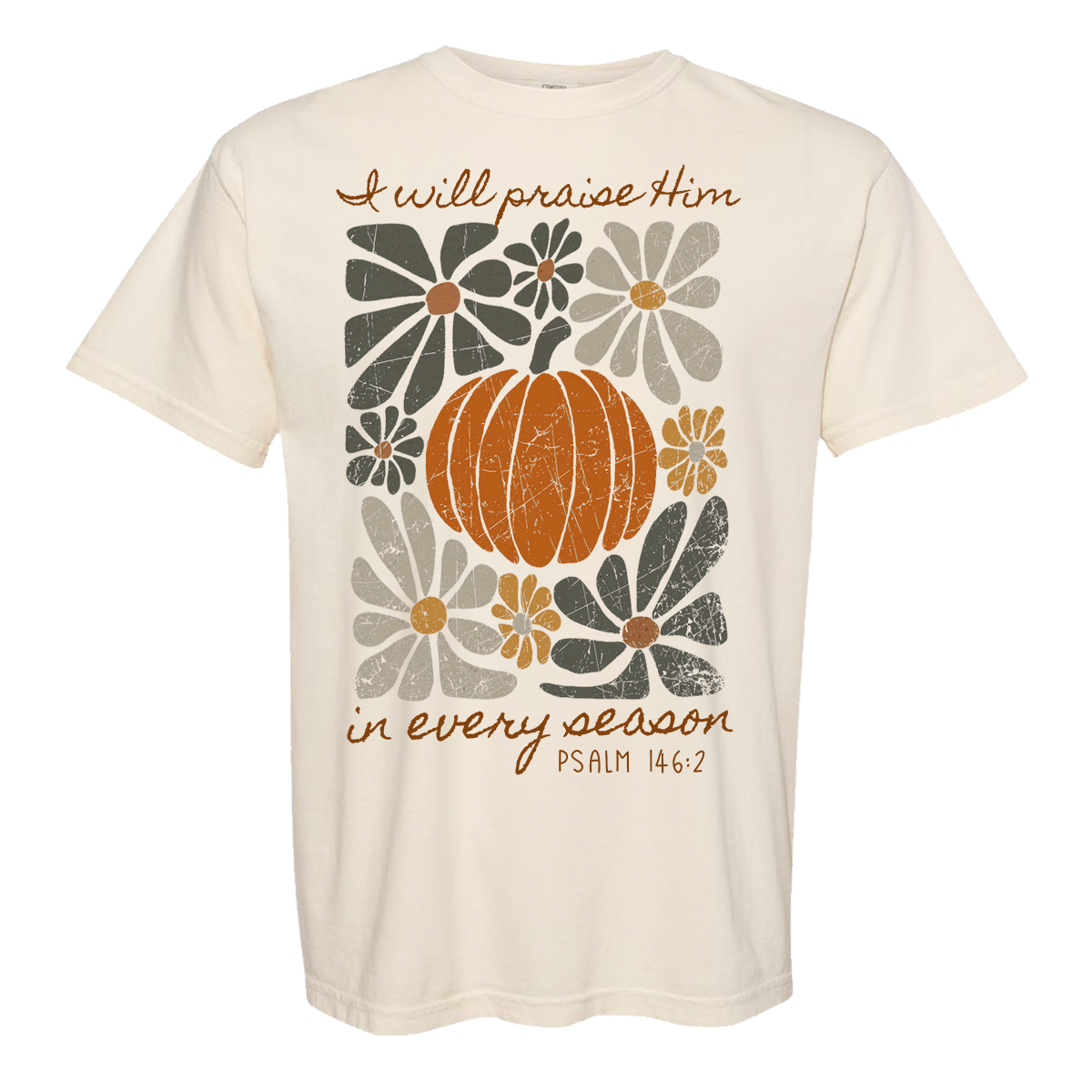 Praise Him Comfort Color Tee