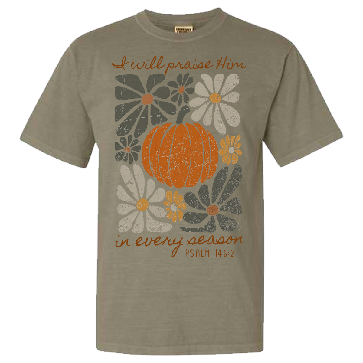 Praise Him Comfort Color Tee