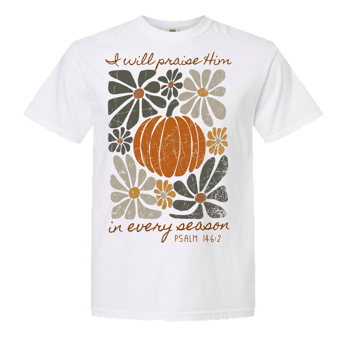 Praise Him Comfort Color Tee