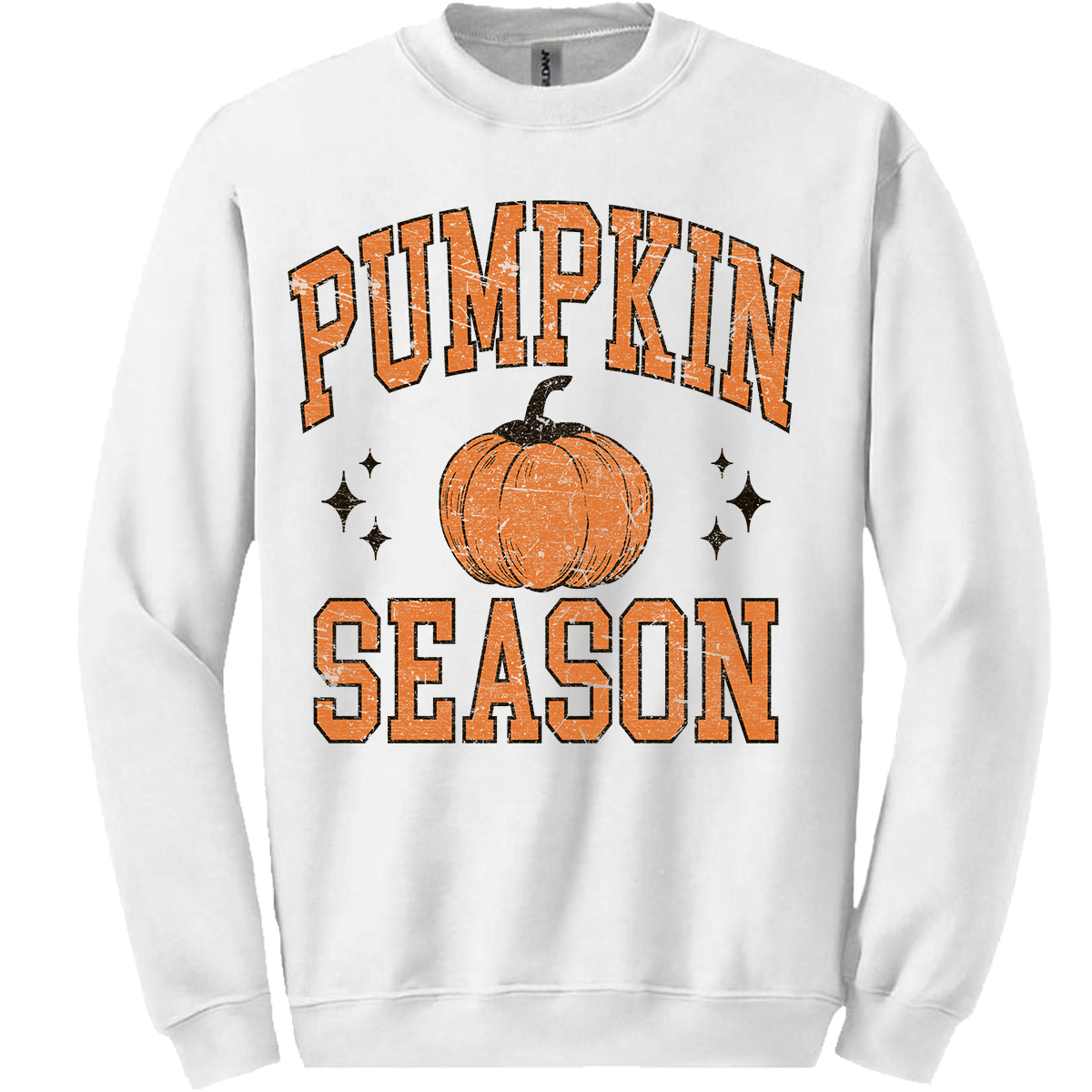 Pumpkin Season Sweatshirt